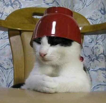 594405420_1134275585564750_2032767036702663360_n