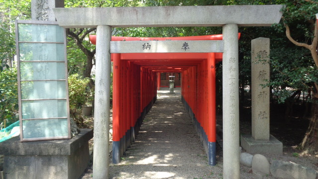 DSC09023インスタ済