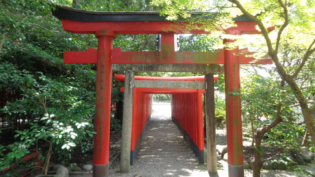 DSC09022インスタ済