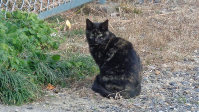 DSC01123インスタ済