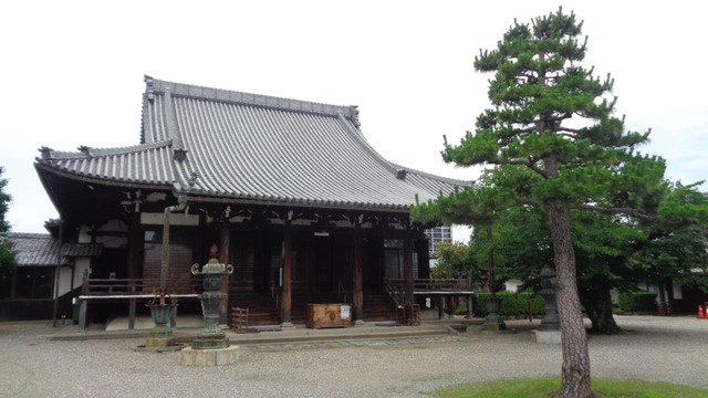 DSC08723インスタ済