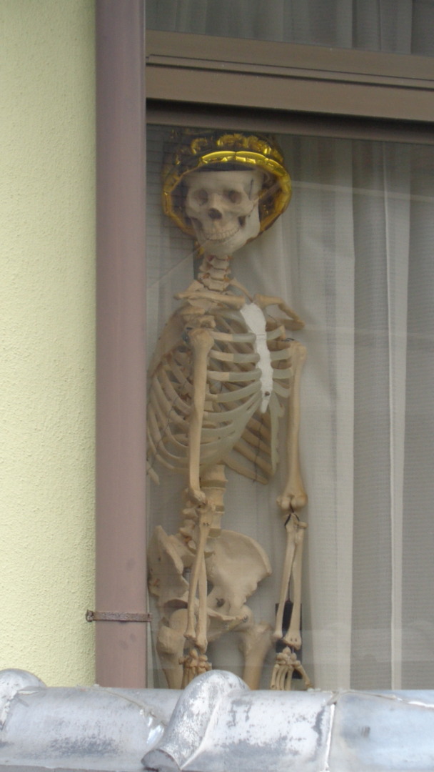 DSC08917インスタ済