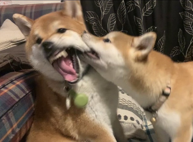 GVLTXIPb0AAlwRm