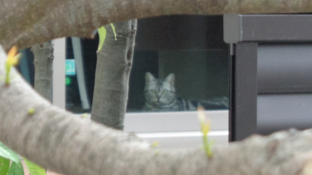 DSC08700インスタ済