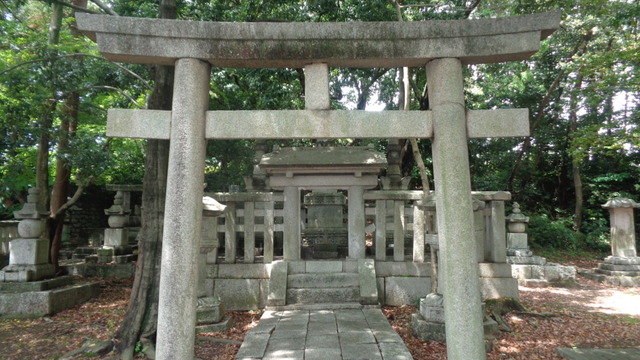 DSC01759インスタ済