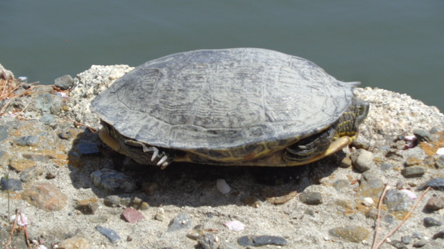 DSC01607インスタ済