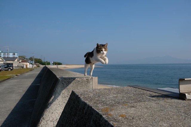 94077543_3623514197723801_7317754532916625408_n