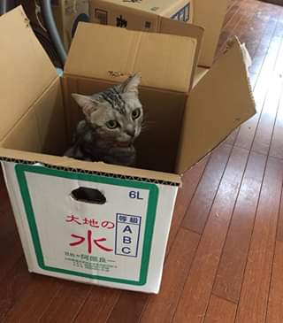 67105122_3240235109321667_8812775916431212544_n