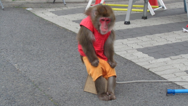 DSC01545