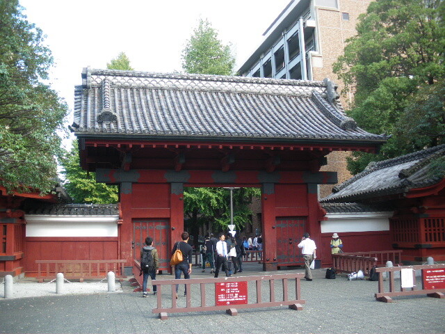 IMGP9261