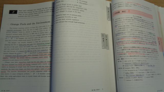 DSC02333インスタ済