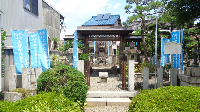 DSC08992インスタ済