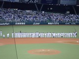 ����ɡ���6441