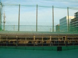 ¸16