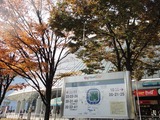 東京ドーム425