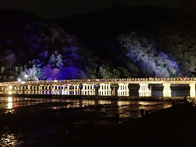 渡月橋 京都 嵐山花灯路 ライトアップ バッセン ブログ