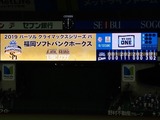 ����ɡ���6433