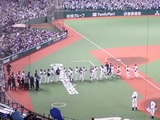 ����ɡ���8954
