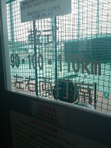 Ⱦ�Ļ����ݡ���8