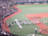 ����ɡ���8987