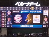 ����ɡ���8974