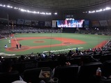 ����ɡ���9159