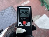 ������313