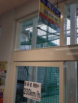 �����⥨����35