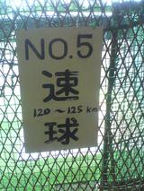 5