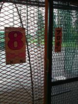 西帯5