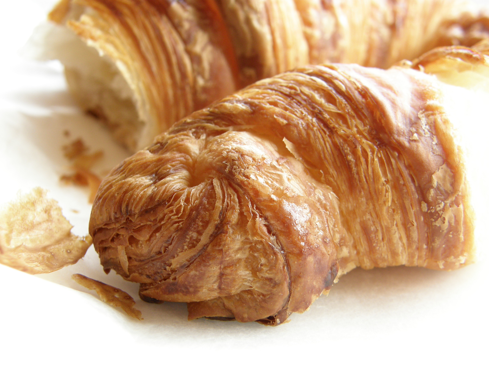 ケーキ屋さんにクロワッサンがあったので 買ってみました Patisserir Votre ヴォートル 福島市大森 お気楽ネコののんきな日々 屋根裏