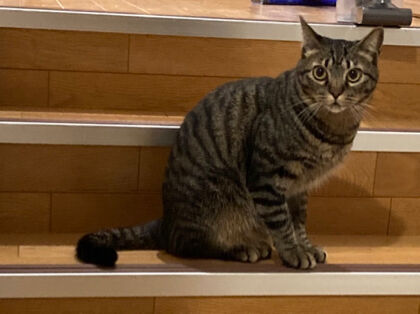 IMG_1433 (1)