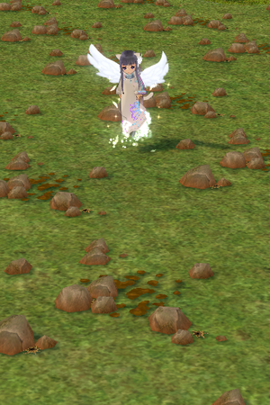 mabinogi_2024_12_12_120836