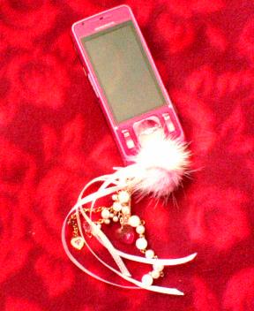 ドコモ So905icsのフリーズ 猫屋敷