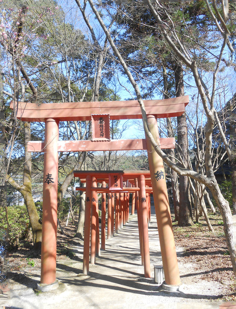 竈門神社006