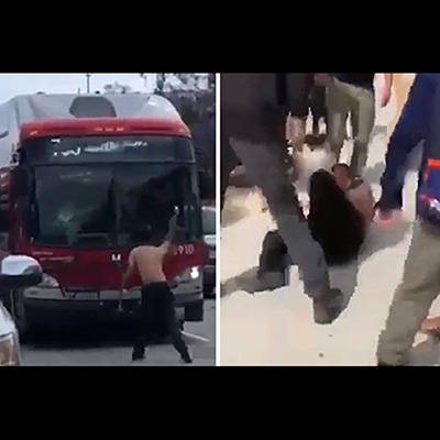 記事紹介
