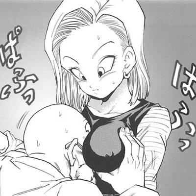 【ドラゴンボール】亀仙人「18号に化けてちいと体を触らせてくれんかの?」プーアル「えっ、ええ!!」プーアルが化けた18号やウーロンが化けたブルマとエッチする亀仙人www