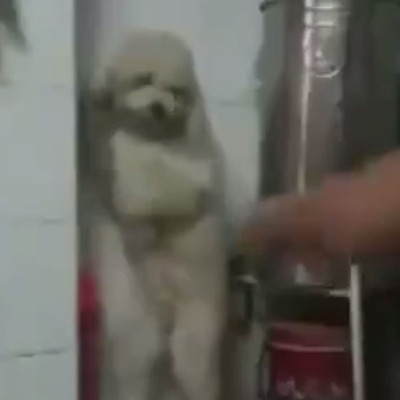 記事紹介