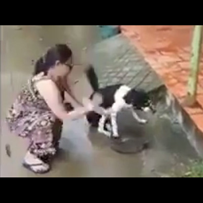 記事紹介