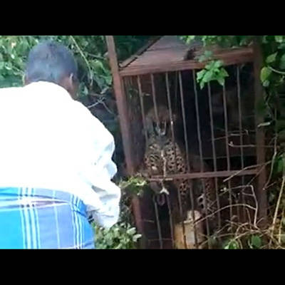 記事紹介