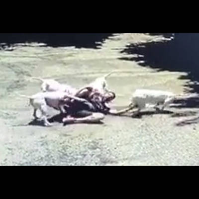 記事紹介