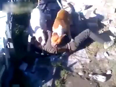 【閲覧注意】最強の番犬が家に侵入した泥棒を殺している鬼畜映像
