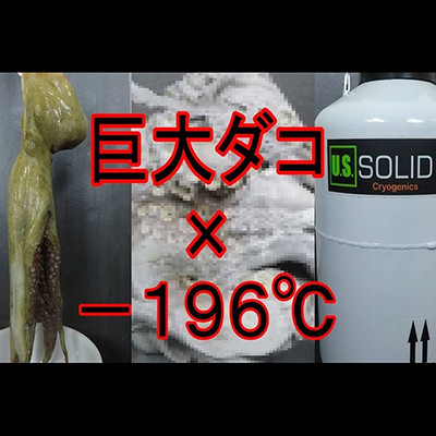 【衝撃映像】－１９６℃の液体で巨大ダコを瞬間冷凍したら物凄い事に・・・（動画）