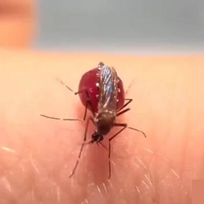 記事紹介