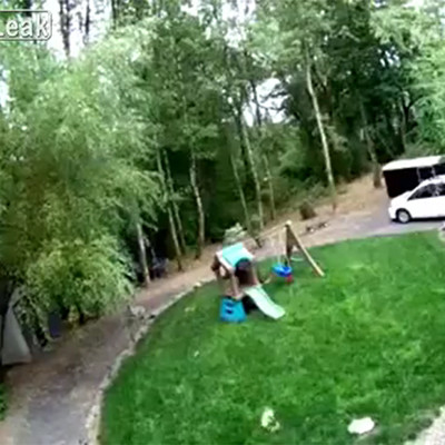 【恐怖】庭で飼ってたチワワが2匹とも死んだ。庭の監視カメラを確認すると…（動画あり）
