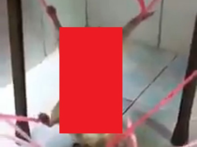 記事紹介