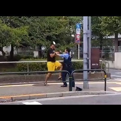 記事紹介