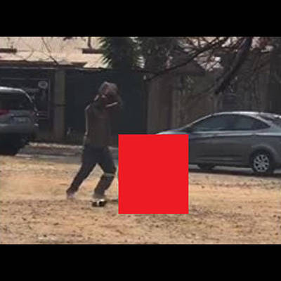 記事紹介