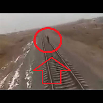 記事紹介