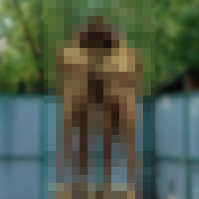 記事紹介